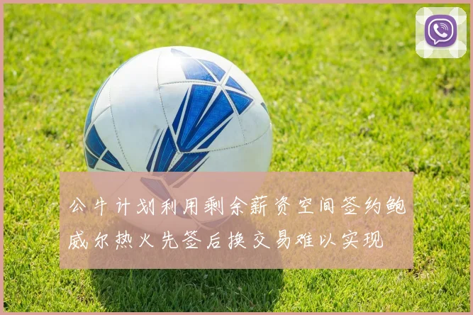 公牛计划利用剩余薪资空间签约鲍威尔热火先签后换交易难以实现