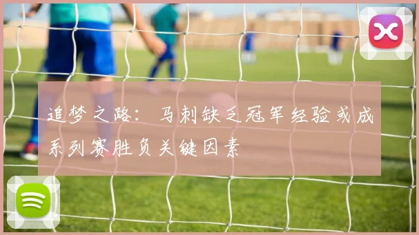 追梦之路：马刺缺乏冠军经验或成系列赛胜负关键因素